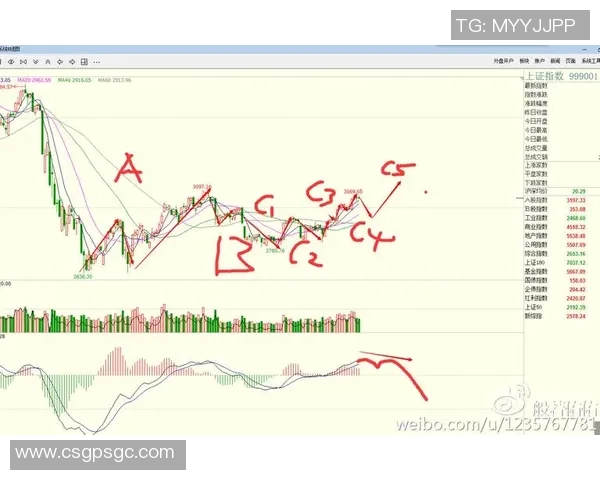深入分析北京排球队区域防守策略及其在比赛中的应用与效果